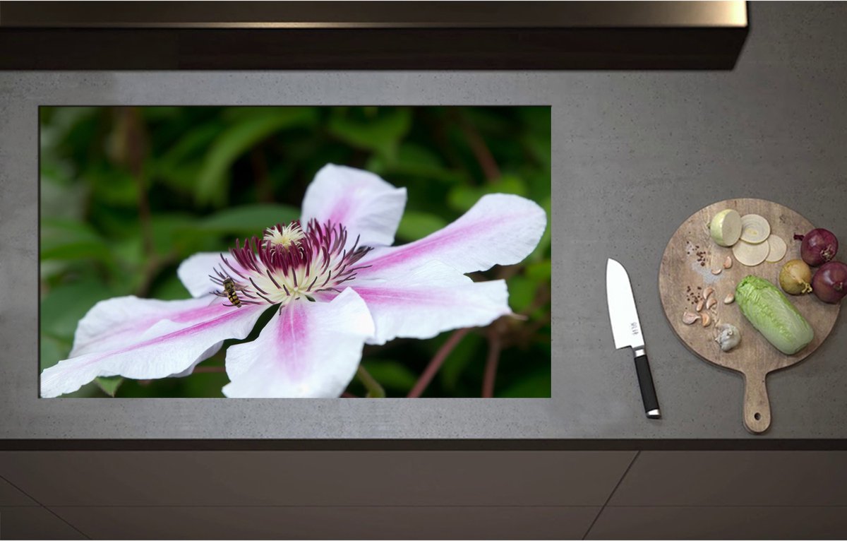Inductieplaat Beschermer - Clematis Flordie Bloemen in het Wit met Paarse Details - 90x52 cm - 2 mm Dik - Inductie Beschermer - Bescherming Inductiekookplaat - Kookplaat Beschermer van Wit Vinyl