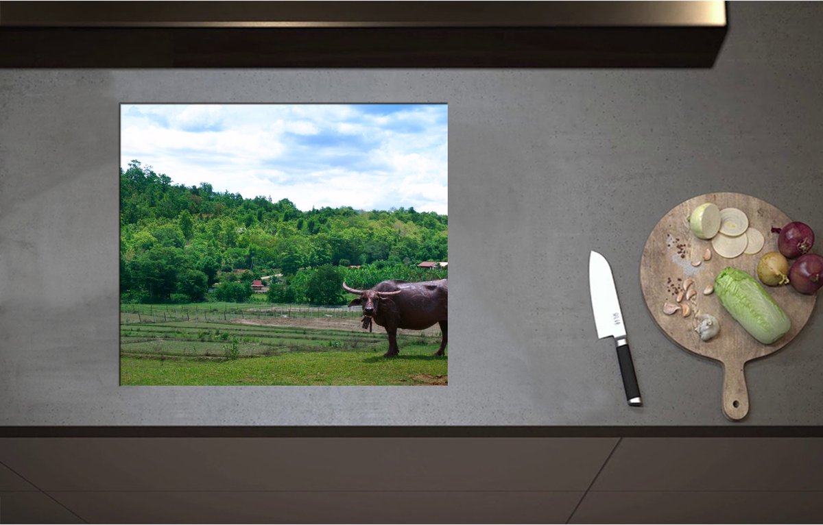 Inductieplaat Beschermer - Buffalo bij Groen Weiland aan de Rand van Bos - 60x52 cm - 2 mm Dik - Inductie Beschermer - Bescherming Inductiekookplaat - Kookplaat Beschermer van Wit Vinyl