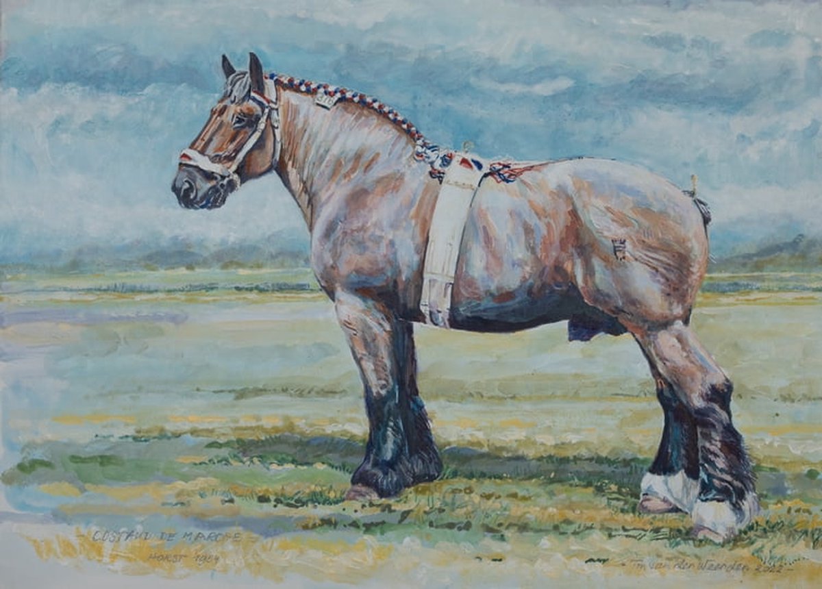Trekpaarden schilderij TW39 - Foto - Ton van der Weerden - Fine Art Print op fotokwaliteit papier - 40 x 50 cm