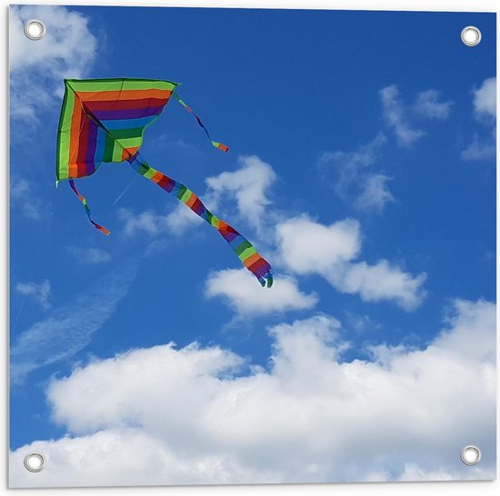 Tuinposter – Gekleurde Vlieger in Blauwe Lucht - 50x50cm Foto op Tuinposter  (wanddecoratie voor buiten en binnen)