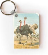 Sleutelhanger - Illustratie van een groep struisvogels - Uitdeelcadeautjes - Plastic
