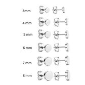 Aramat jewels ® - Zweerknopjes oorbellen rond zilverkleurig chirurgisch staal 5mm