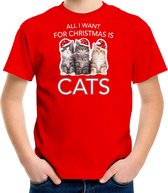 Kitten Kerstshirt / Kerst t-shirt All i want for Christmas is cats rood voor kinderen - Kerstkleding / Christmas outfit XL (164-176)