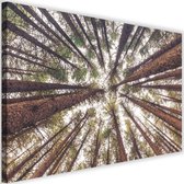 Schilderij Hoge bomen, 2 maten, multi-gekleurd, Premium print