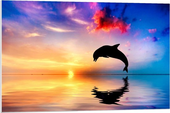 Forex - Silhouet van Dolfijn bij Prachtige Lucht  - 90x60cm Foto op Forex