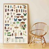 Sticker poster creatief  - [POPPIK] Insecten - vanaf 6 jaar