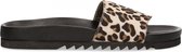 Maruti  - Berlin Sandals Leopard Elephantgrey - Leopard Elephantgrey - 36