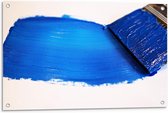 Tuinposter – Blauwe Plakkaat Verf  - 90x60cm Foto op Tuinposter  (wanddecoratie voor buiten en binnen)
