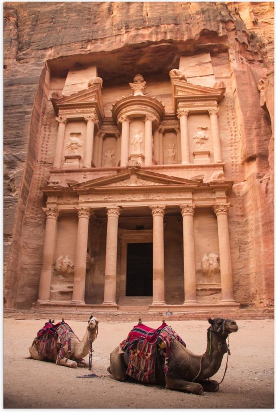 Poster – Kamelen bij Petra - Jordanië - 60x90cm Foto op Posterpapier