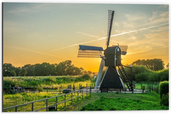 Dibond - Groene Molen in Wei - 60x40cm Foto op Aluminium (Wanddecoratie van metaal)