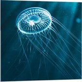 Acrylglas –Orka in Blauw Water– 40x30 (Wanddecoratie op Acrylglas)