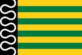 Vlag gemeente De Wolden 150x225 cm