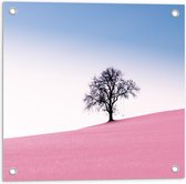 Tuinposter – Roze Grasveld  - 50x50cm Foto op Tuinposter  (wanddecoratie voor buiten en binnen)