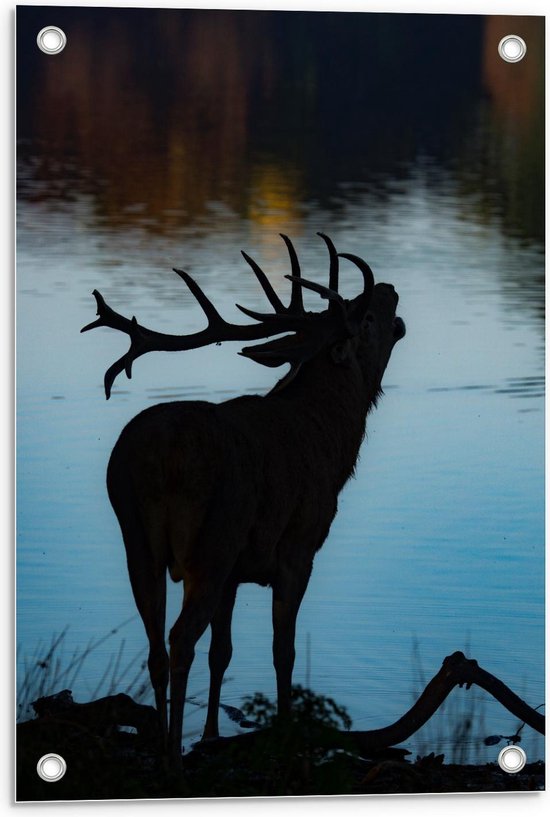 Tuinposter – Hert met Hoorns bij Water - 40x60cm Foto op Tuinposter  (wanddecoratie voor buiten en binnen)