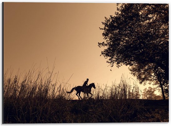 Dibond - Paard en Ruiter silhouet - 40x30cm Foto op Aluminium (Wanddecoratie van metaal)