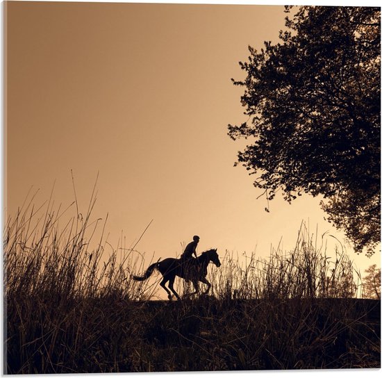 Acrylglas - Paard en Ruiter silhouet - 50x50cm Foto op Acrylglas (Wanddecoratie op Acrylglas)