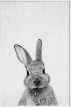 JUNIQE - Poster in kunststof lijst Konijn zwart-wit foto -60x90 /Wit &