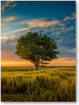 Boom onder een bewolkte hemel tijdens een zonsondergang - 60x90 Poster Staand - Besteposter - Landschap - Natuur