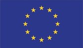 Vlag Europese Gemeenschap 30x45 cm.