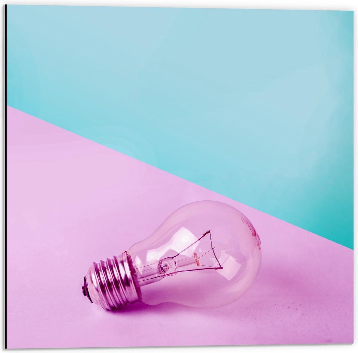 Dibond - Gloeilamp Roze/Blauwe Achtergrond - 50x50cm Foto op Aluminium (Wanddecoratie van