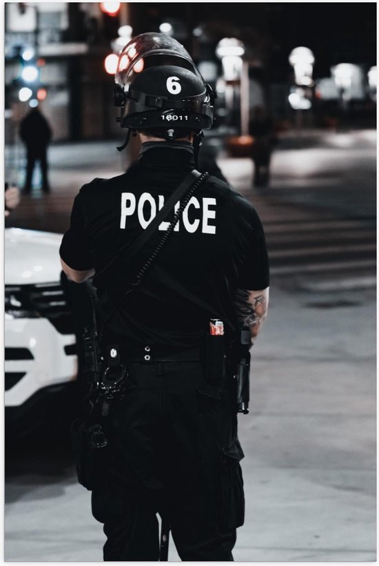 De Politie Duo - Custom Poster