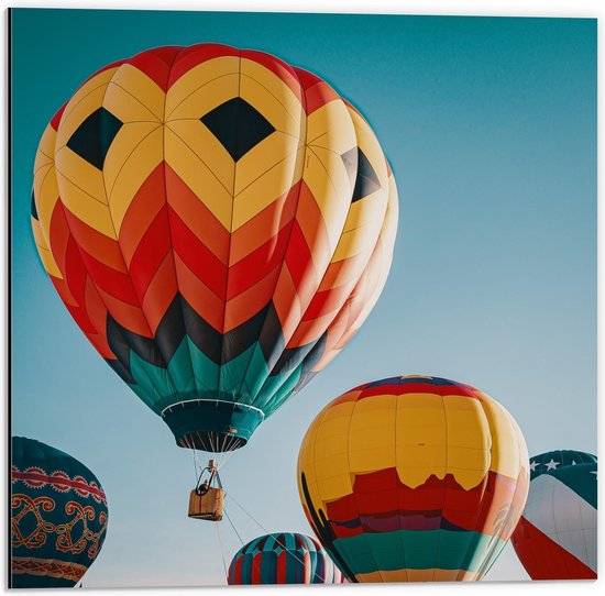 Dibond - Groepje Gekleurde Luchtballonnen - 50x50cm Foto op Aluminium (Met Ophangsysteem)