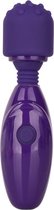 Tiny Teasers® Nubby - Bullets & Mini Vibrators - purple - Discreet verpakt en bezorgd
