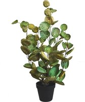 Maxifleur Kunstplanten - Kunstplant - Aralia - Polyscias - Kunstplant - 60 cm - Niet van echt te onderscheiden!