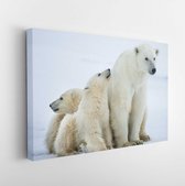 Polar she-bear with cubs. A Polar she-bear with two small bear cubs on the snow. The polar bear (Ursus maritimus) - Modern Art Canvas - Horizontal - 363801596 - 115*75 Horizontal