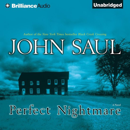 Perfect Nightmare - cover