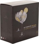 Gin Tonic Glazen - Cocktailglazen - Cocktailglas - 70cl - 2 stuks