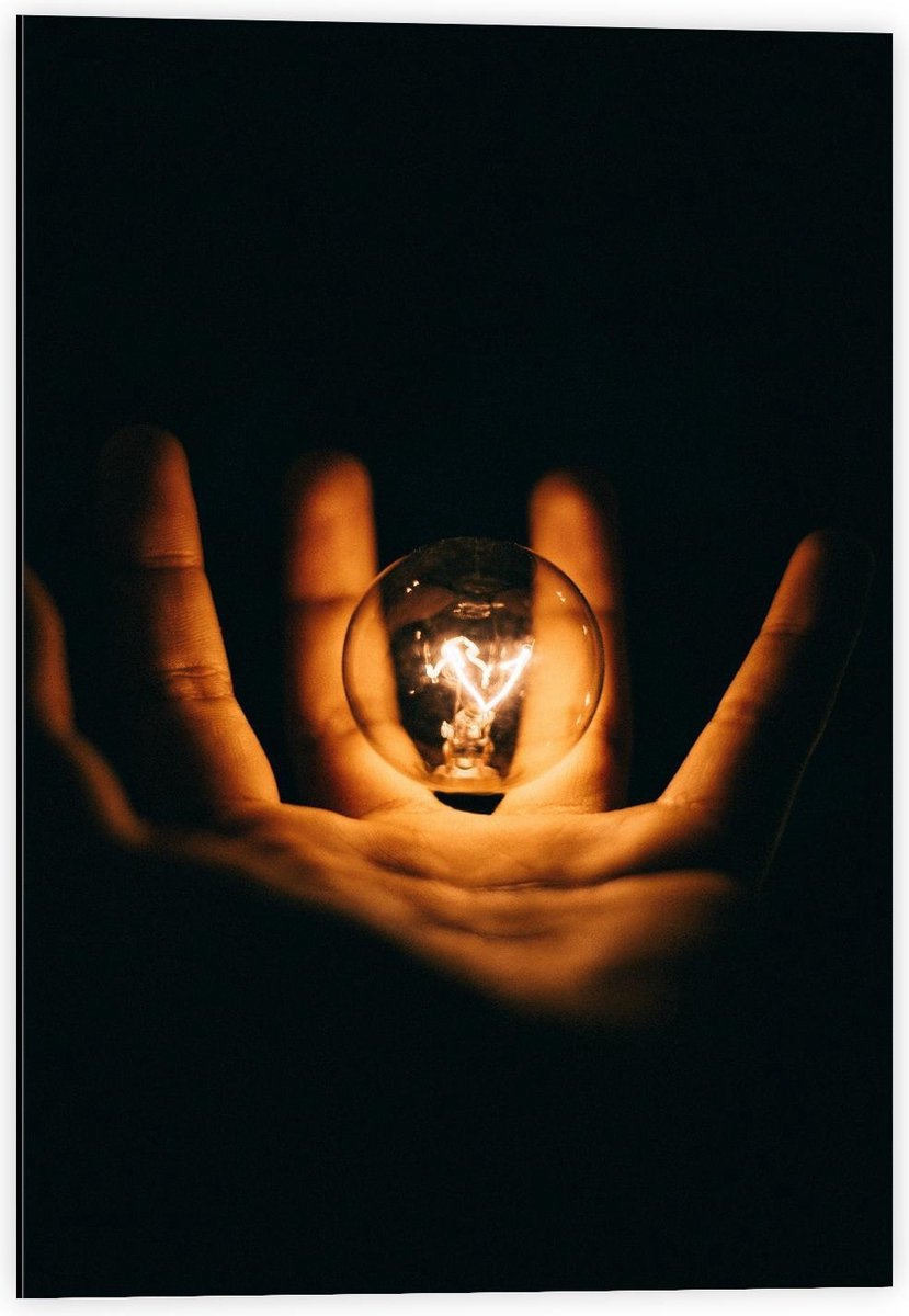 Dibond - Lichtgevende Gloeilamp in Handen met Zwarte Achtergrond - 40x60cm Foto op Alumini