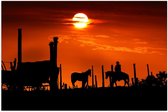 Poster – Zonsondergang bij Paarden - 60x40cm Foto op Posterpapier