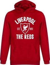 Liverpool Established Hoodie - Kinderen - 104