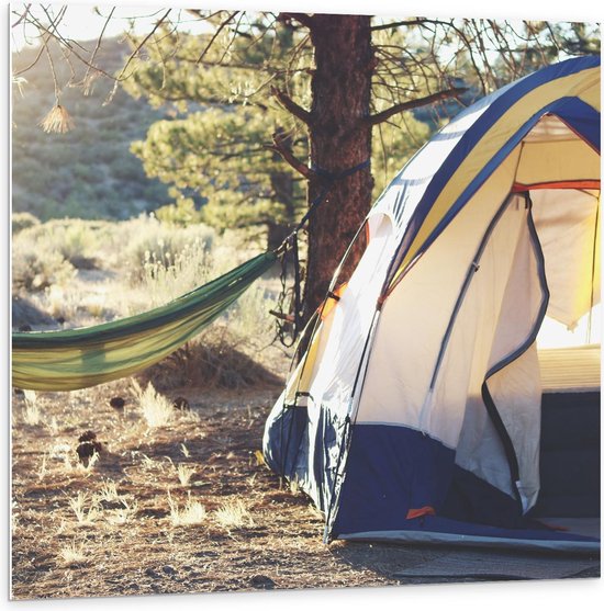 Forex - Tent met Hangmat in de Bossen - 100x100cm Foto op Forex