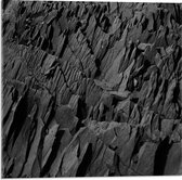 Acrylglas - Boomschors (zwart/wit) - 50x50cm Foto op Acrylglas (Met Ophangsysteem)