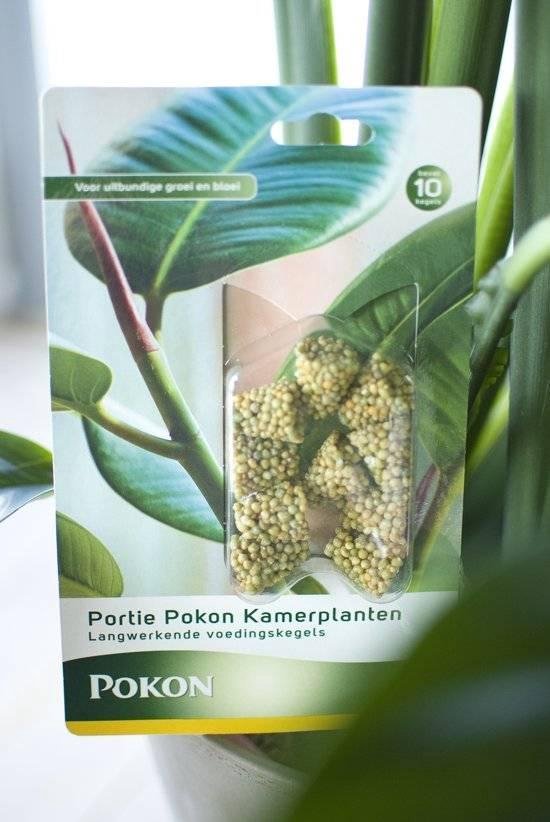 Verpakking met Pokon Kamerplanten voedingskegels, langwerkende voedingskegels voor planten.