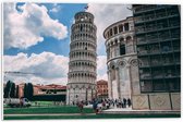 Forex - Toren van Pisa - Italië - 60x40cm Foto op Forex