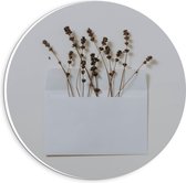 Forex Wandcirkel - Takjes in Witte Envelop - 20x20cm Foto op Wandcirkel (met ophangsysteem)