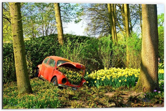 Dibond - Rode Auto vol met Gele Bloemen - 60x40cm Foto op Aluminium (Wanddecoratie van metaal)