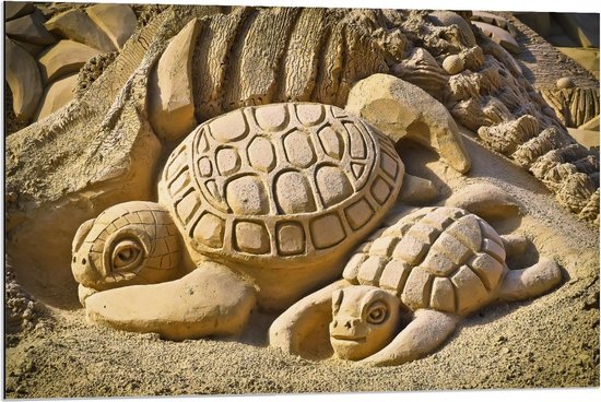 Dibond - Zandsculpturen van Schildpadden - 90x60cm Foto op Aluminium (Wanddecoratie van metaal)