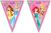 Vlaggenlijn Disney Princess 2,3 m Roze
