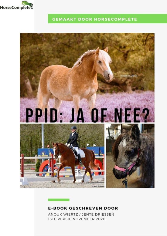 PPID: ja of nee - cover