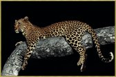 PTMD  melani glass art foto luipaard in boom