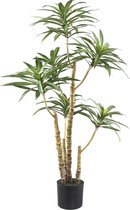 PTMD Tree Green Dieffenbachia Kunstplant - 87 x 36 x 122 cm - Plastic pot - Groen