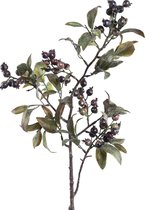 PTMD  berry plant paars bessentak met bladeren