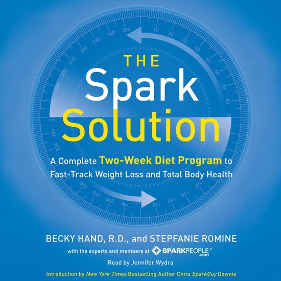 The Spark Solution - cover