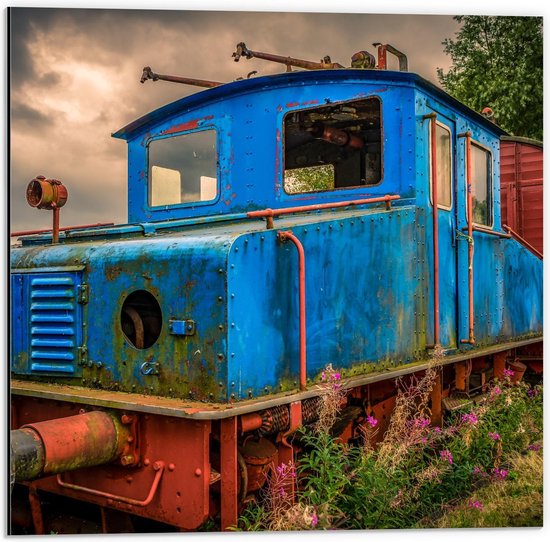 Dibond - Gekleurde Verroeste Trein - 50x50cm Foto op Aluminium (Met Ophangsysteem)