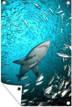 Muurdecoratie Een haai tussen de vissen - 120x180 cm - Tuinposter - Tuindoek - Buitenposter
