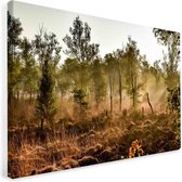 Beams op de Peel op Canvas | fotoprint op canvas | wanddecoratie - 60x90cm